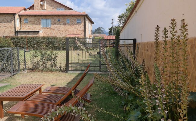 Hacienda San Mateo (Jardín)