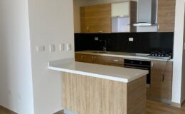 PHOTO-2021-01-18-15-49-08 (2)