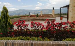 PHOTO-2022-06-08-11-36-00 (2)